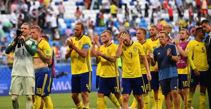 法国队绝杀瑞典队，王皓高光表现