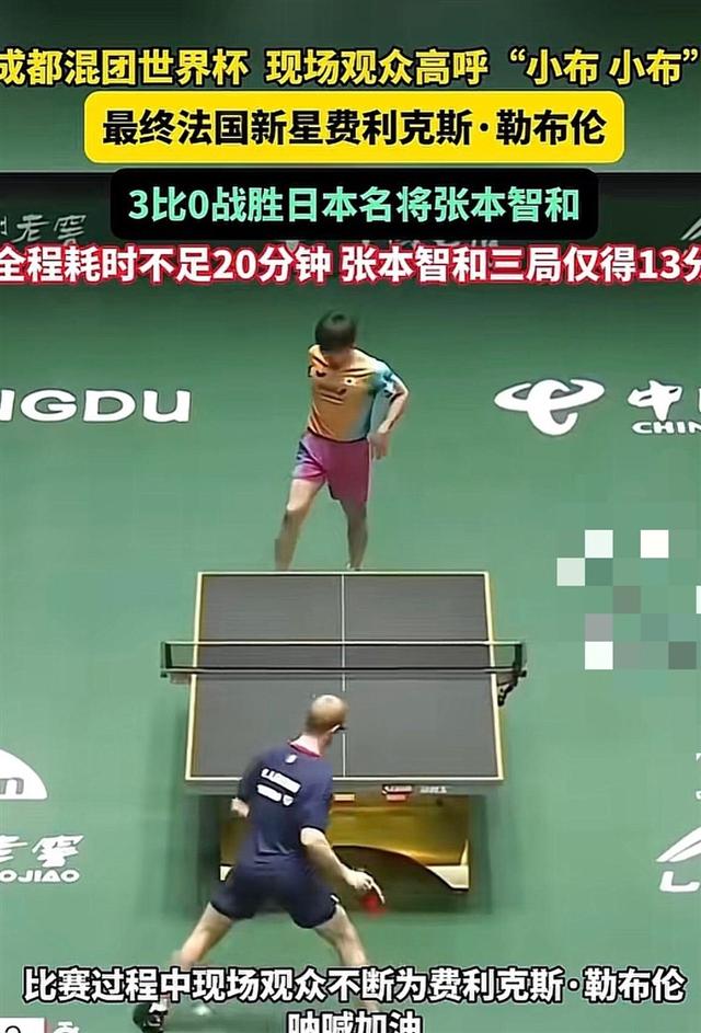 法国队轻取日本队,张本智和统治全场 法国队轻取日本队,张本智和统治全场