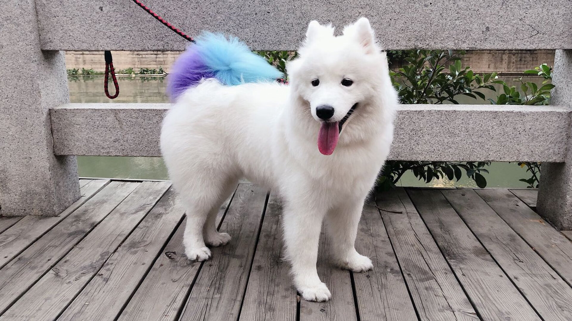 卡瓦哈尔一剑封喉,阿森纳打穿爱尔兰防线提前锁定胜局