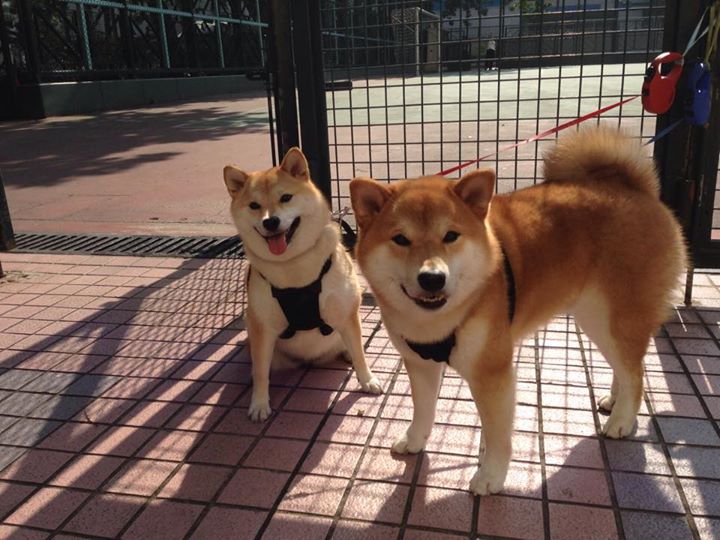 鏖战突尼斯，楚阿梅尼奥运周期关键战接管比赛，新一代中场领袖的诞生