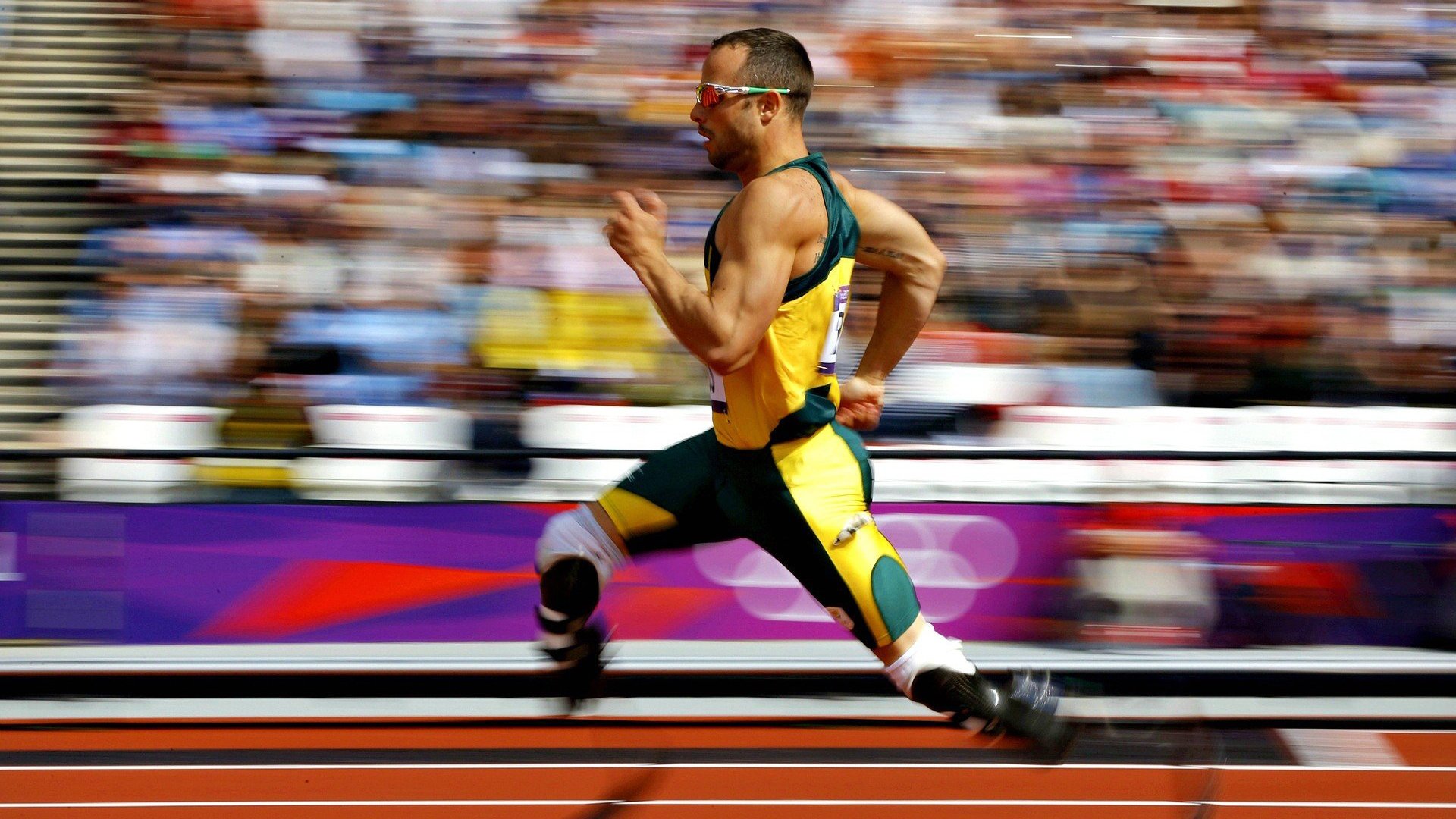 深圳队力克浙江队，武切维奇进攻端无人可挡